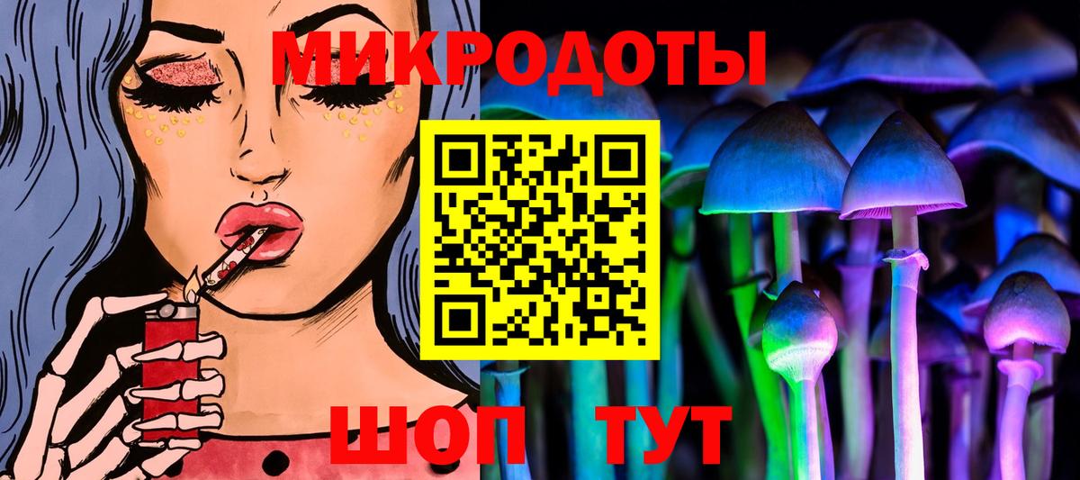 Псилоцибиновые грибы Psilocybine cubensis Урюпинск