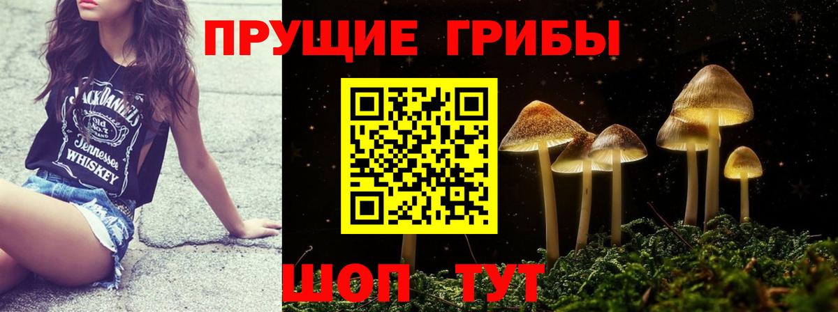 Псилоцибиновые грибы ЛСД  Псилоцибиновые грибы Psilocybine cubensis  Урюпинск  Вход с VPN 